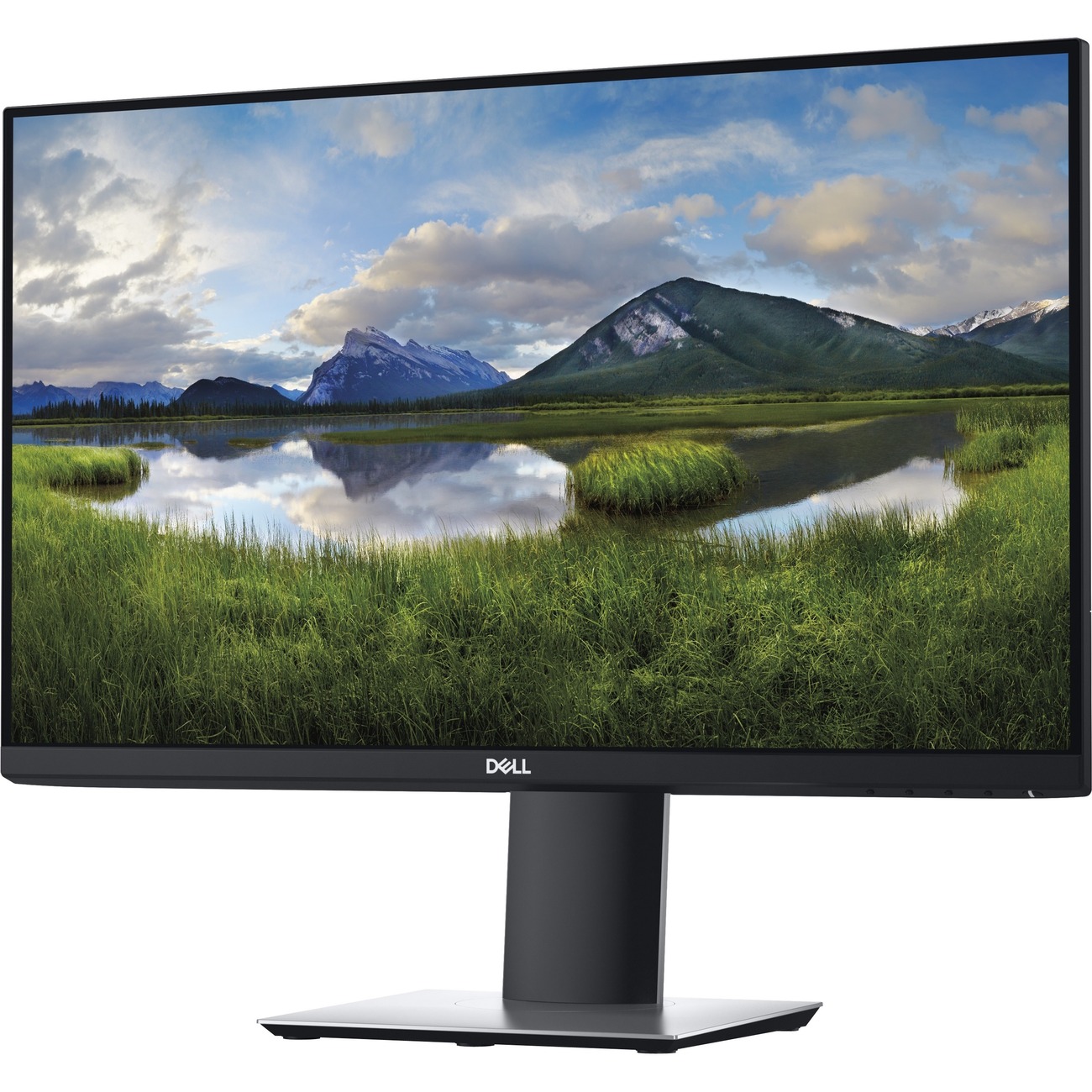 Dell DELL-P2419H 23.8