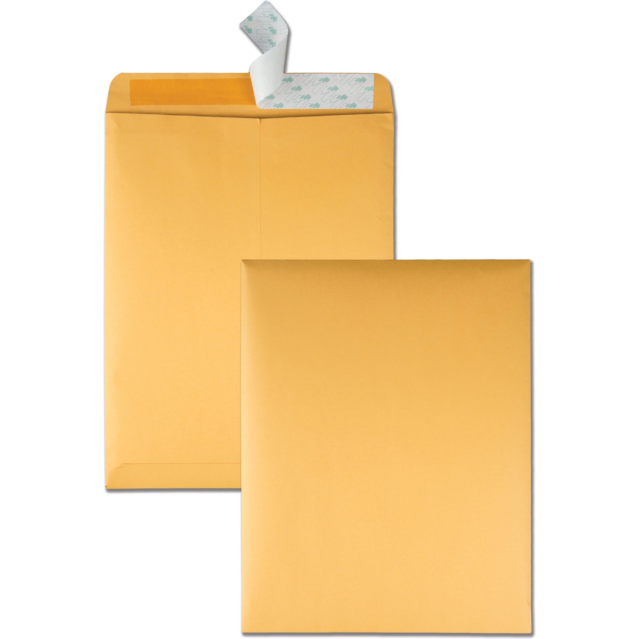 Quality Park 10 x 13 Catalog Envelopes with Self-Seal Closure | Butler ...