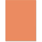 Nature Saver 100% Recycled Construction Paper - Art, Craft, ClassRoom Project - 12" (304.80 mm) x 9" (228.60 mm) - 50 / Pack - Orange