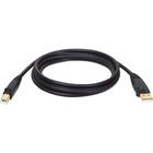 Tripp Lite USB 2.0 Cable - 10 ft USB Data Transfer Cable - First End: 1 x USB 2.0 Type A - Male - Second End: 1 x USB 2.0 Type B - Male - Gold - 1 Each