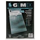 Gemex Vinyl File Pocket - Vinyl - Clear - 50 / Pack