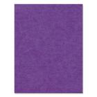 Hilroy Heavyweight Bristol Board - Art - 22" x 28" - 1 Each - Purple