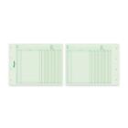 Blueline Bilingual Ledger Book - 100 Sheet(s) - 11 7/8" x 9 1/4" Sheet Size - 8 Columns per Sheet - Green Sheet(s) - Recycled - 100 / Pack