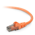 Belkin RJ45 Category 6 Snagless Patch Cable - 75.1 ft Category 6 Network Cable - First End: 1 x RJ-45 - Male - Second End: 1 x RJ-45 - Male - Patch Cable - Orange