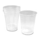 VLB Compostable Cup - 295.74 mL - 15 / Pack - Clear - Plastic - Cold Drink