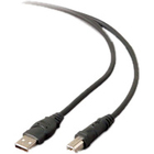 Belkin USB Extension Cable - 16 ft USB Data Transfer Cable for Printer, Scanner, Hard Drive - First End: 1 x 4-pin USB Type A - Male - Second End: 1 x 4-pin USB Type B - Male - Extension Cable - Shielding - Black - 1