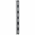 APC by Schneider Electric Vertical Cable Manager for NetShelter SX 750mm Wide 42U (Qty 2) - Cable Pass-through - Black - 1 - 42U Rack Height