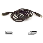 Belkin USB Extender Cable - Type A Male - Type A Female USB - 0.91m