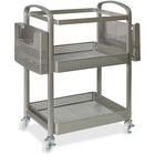 Lorell Mobile File Cart - 12.5" Length x 22.4" Width x 25.3" Height - Metal Frame - Champagne Gold - 1 Each