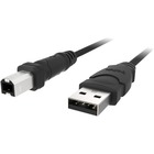 Belkin USB Cable - Type A Male USB - Type B Male USB - 3.05m