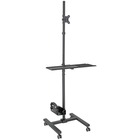 Tripp Lite DMCS1732S Display Stand - Up to 32" Screen Support - 8 kg Load Capacity - 70.10" (1780.54 mm) Height x 25.70" (652.78 mm) Width x 21" (533.40 mm) Depth - Floor - Steel - Black