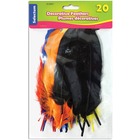 Selectum Feather - 1 / Pack - Assorted
