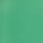 NAPP Card Stock - 22" (558.80 mm)Width x 28" (711.20 mm)Length - 48 / Box - Green