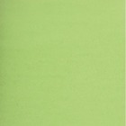 NAPP Card Stock - 22" (558.80 mm)Width x 28" (711.20 mm)Length - 48 / Box - Light Green
