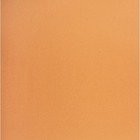 NAPP Card Stock - 22" (558.80 mm)Width x 28" (711.20 mm)Length - 48 / Box - Orange