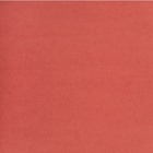 NAPP Card Stock - 22" (558.80 mm)Width x 28" (711.20 mm)Length - 48 / Box - Red