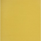 NAPP Card Stock - 22" (558.80 mm)Width x 28" (711.20 mm)Length - 48 / Box - Yellow