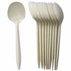 Eco Guardian 6" Medium-weight Spoons - 50/Pack - Soup Spoon - White