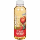 Oasis Apple Juice - Ready-to-Drink - 300 mL - 24