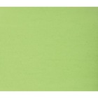 ACCO Bristol Board - 22" (558.80 mm)Width x 28" (711.20 mm)Length - 48 / Pack - Emerald - Cardboard