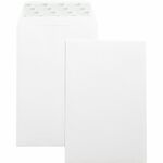 Business Source Self-Seal 6"x9" Catalog Envelopes