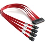 StarTech.com 50cm Serial Attached SCSI SAS Cable - SFF-8484 to 4x SATA - 1 x SFF-8484 - 4 x SATA - Red