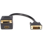StarTech.com 1 ft DVI-D to DVI-D Andamp; HDMI Splitter Cable - M/F - Black
