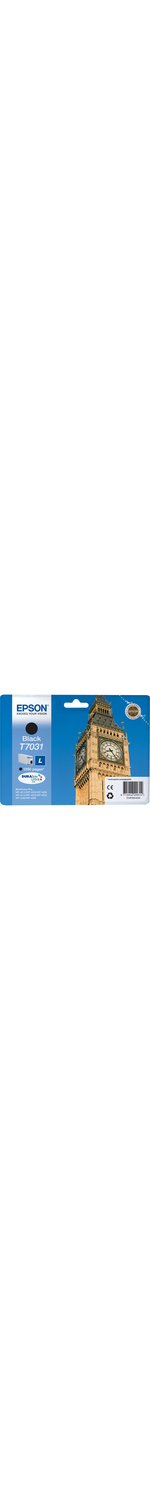 Epson DURABrite Ultra C13T70314010 Ink Cartridge - Black