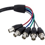 StarTech.com 1 ft Coax HD15 VGA to 5 BNC RGBHV Monitor Cable - 1 x HD-15 Male VGA - 5 x BNC Female Video