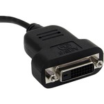 StarTech.com Mini DisplayPort to DVI Active Adapter - Mini DisplayPort Male Digital Video - Black