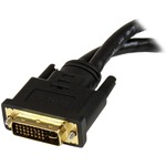 StarTech.com 8in DVI-I Male to DVI-D Female and HD15 VGA Female Wyse DVI Splitter Cable