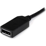 StarTech.com 8in LFH 59 Male to Dual Female DisplayPort DMS 59 Cable - 1 x DMS-59 Male Video