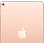 Apple iPad mini 5th Generation Tablet - 20.1 cm 7.9inch - 256 GB Storage - iOS 12 - 4G - Gold - Apple A12 Bionic SoC - 7 Megapixel Front Camera - 8 Megapixel Rear C