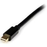 StarTech.com 4m Mini DisplayPort to DisplayPort Adapter Cable - M/M - Gold