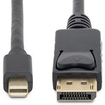 StarTech.com 3m Mini DisplayPort to DisplayPort 1.2 Adapter Cable M/M - DisplayPort 4K