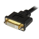 StarTech.com 8in DVI-I Male to DVI-D Female and HD15 VGA Female Wyse DVI Splitter Cable