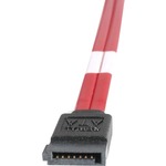 StarTech.com 50cm Serial Attached SCSI SAS Cable - SFF-8484 to 4x SATA - 1 x SFF-8484 - 4 x SATA - Red