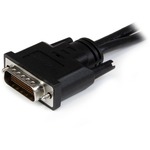 StarTech.com 8in LFH 59 Male to Dual Female DisplayPort DMS 59 Cable - 1 x DMS-59 Male Video