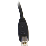 StarTech.com 10 ft 2-in-1 Universal USB KVM Cable - Video / USB cable - HD-15, 4 pin USB Type B M