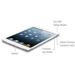 Apple iPad mini 5th Generation Tablet - 20.1 cm 7.9inch - 64 GB Storage - iOS 12 - Silver - Apple A12 Bionic SoC - 7 Megapixel Front Camera - 8 Megapixel Rear Camer