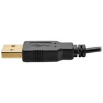 Tripp Lite P130-06N-DP-V2 15.24 cm DisplayPort/HDMI/USB A/V Cable