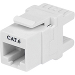 StarTech.com 180 degree Cat 6 Keystone Jack - RJ45 Ethernet Cat6 Wall Jack White - 110 Type