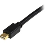 StarTech.com Black 10ft Mini DisplayPort to DVI Adapter Converter Cable