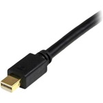 StarTech.com 3 ft Mini DisplayPort to DVI Adapter Converter Cable - Mini DP to DVI 1920x1200 - Black