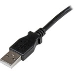 StarTech.com 2m USB 2.0 A to Left Angle B Cable - M/M - 1 x Type A Male USB - 1 x Type B Male USB