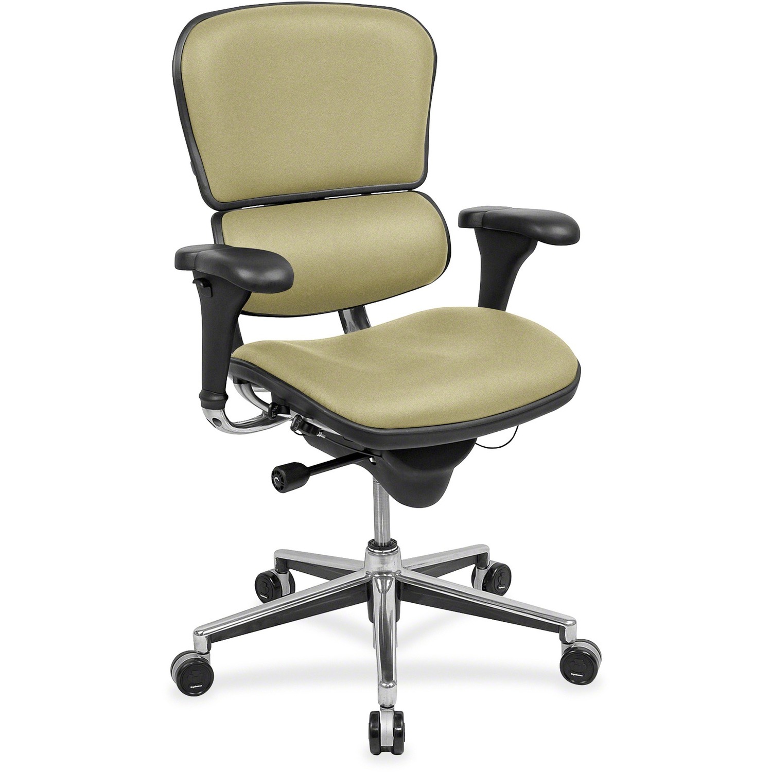 Eurotech Ergohuman Executive Chair - Aloe Seat Color - Rain Dance Fabric Seat Material - Aloe Back Color - Rain Dance Fabric Back Material - 5-star Base - 1 Each