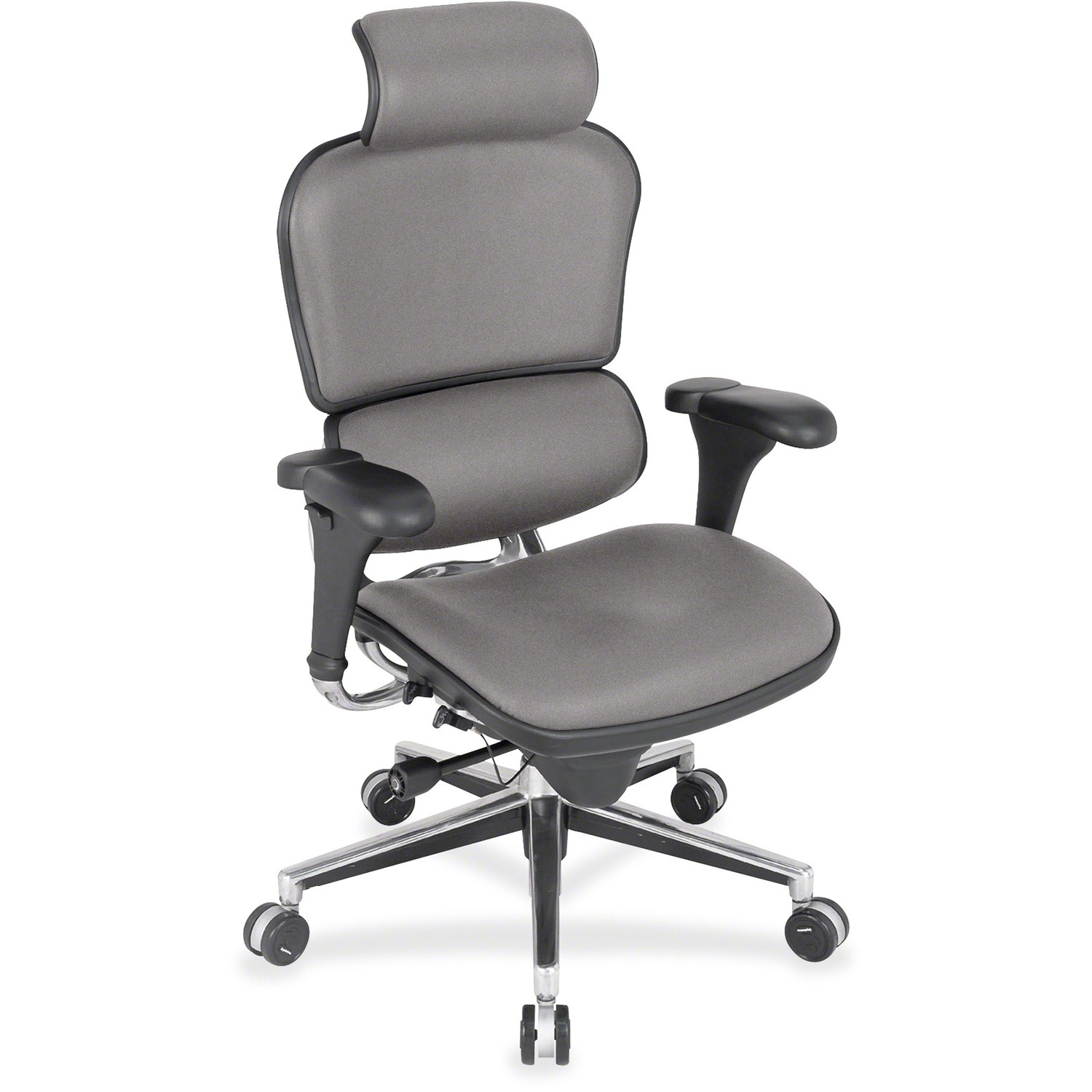 Eurotech Ergohuman Leather Executive Chair - Sterling Seat Color - Rain Dance Fabric Seat Material - Sterling Back Color - Rain Dance Fabric Back Material - 5-star Base - 1 Each
