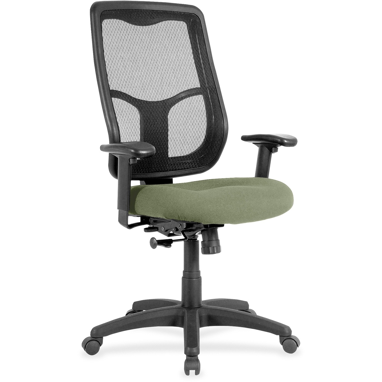 Eurotech Apollo High-back with Ratchet Back - Mint Chocolate Seat Color - Fabric Seat Material - High Back - 5-star Base - 1 Each