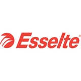 Esselte Ruling Index Cards