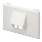 Panduit Pan-Way Classic 1 Gang 2 Socket Snap-on Faceplate